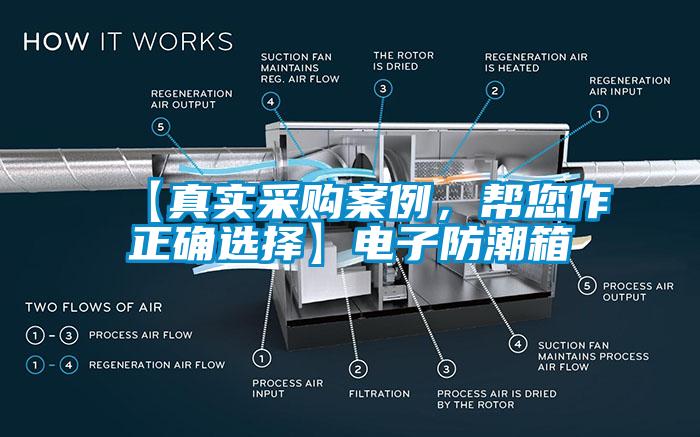 【真實采購案例，幫您作正確選擇】電子防潮箱