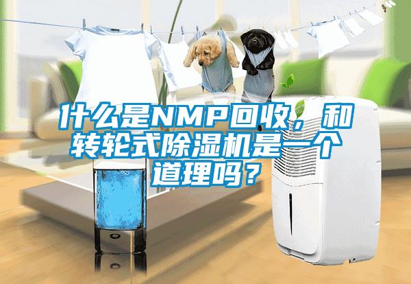 什么是NMP回收，和轉(zhuǎn)輪式除濕機是一個道理嗎？