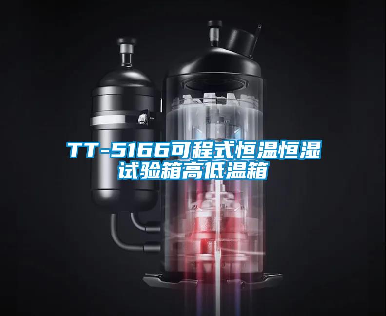 TT-5166可程式恒溫恒濕試驗(yàn)箱高低溫箱