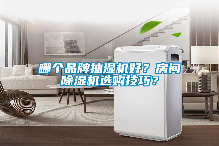 哪個品牌抽濕機好？房間除濕機選購技巧？