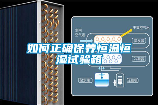 如何正確保養(yǎng)恒溫恒濕試驗(yàn)箱
