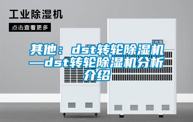 其他：dst轉輪除濕機—dst轉輪除濕機分析介紹