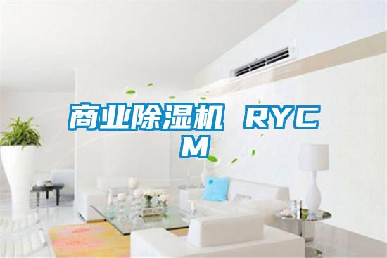 商業(yè)除濕機 RYCM