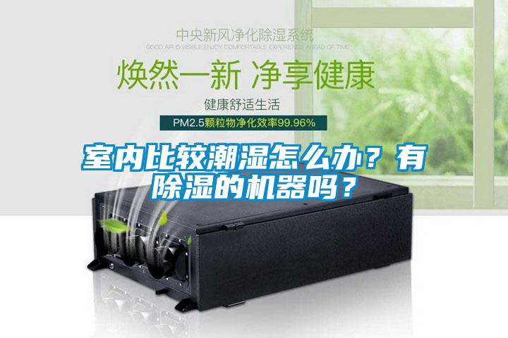 室內(nèi)比較潮濕怎么辦？有除濕的機器嗎？