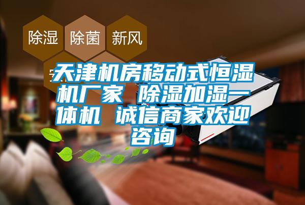 天津機房移動式恒濕機廠家 除濕加濕一體機 誠信商家歡迎咨詢