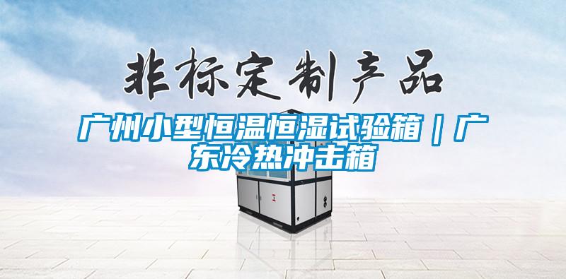 廣州小型恒溫恒濕試驗(yàn)箱｜廣東冷熱沖擊箱