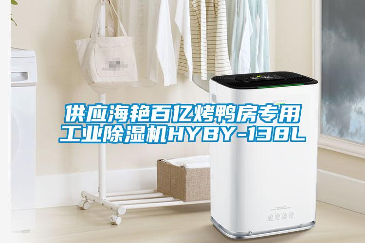 供應海艷百億烤鴨房專用工業(yè)除濕機HYBY-138L