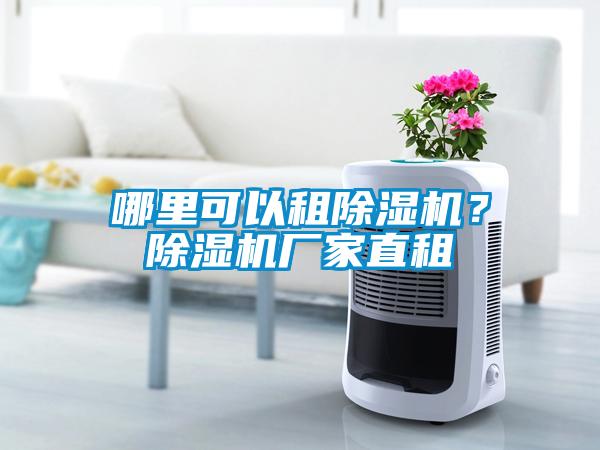 哪里可以租除濕機？除濕機廠家直租