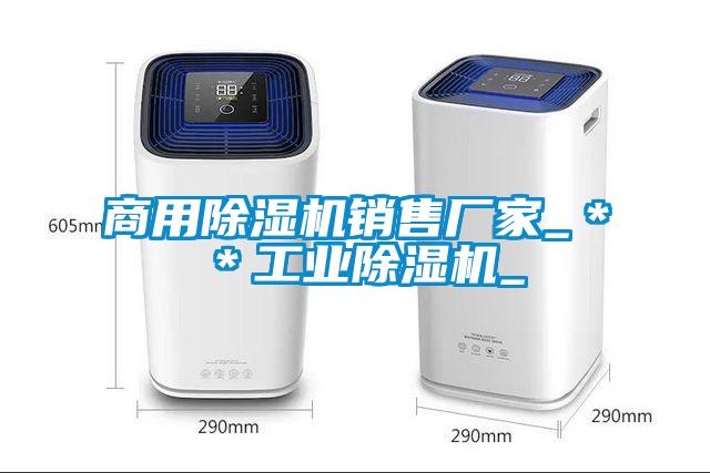 商用除濕機(jī)銷售廠家_＊＊工業(yè)除濕機(jī)_