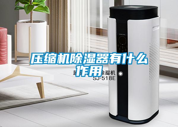 壓縮機除濕器有什么作用