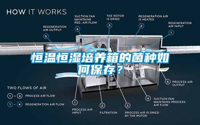 恒溫恒濕培養(yǎng)箱的菌種如何保存？