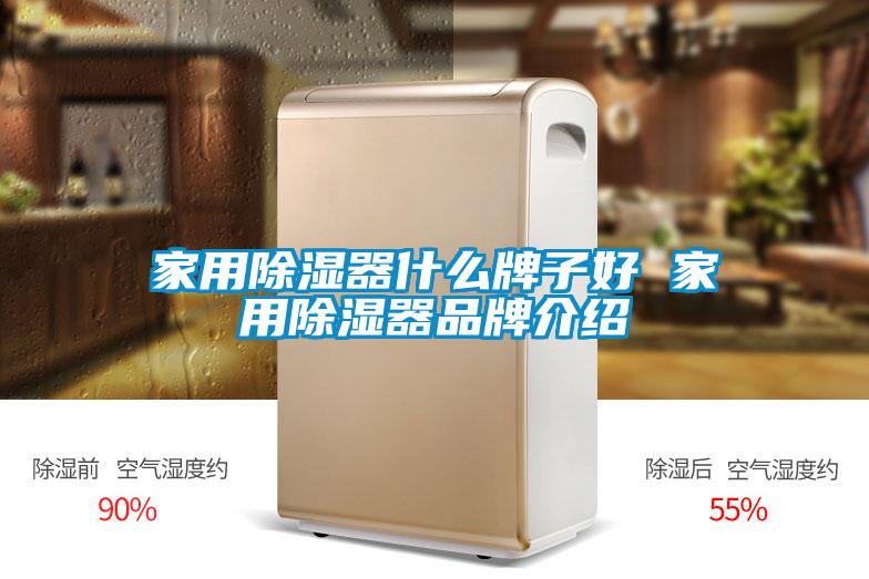 家用除濕器什么牌子好 家用除濕器品牌介紹