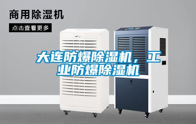 大連防爆除濕機(jī)，工業(yè)防爆除濕機(jī)