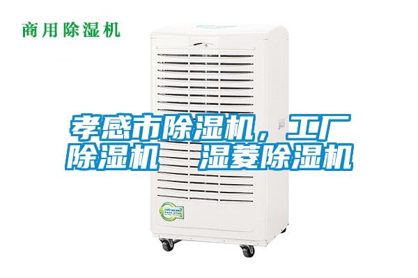 孝感市除濕機，工廠除濕機  濕菱除濕機