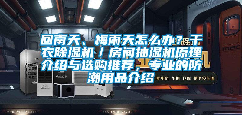 回南天、梅雨天怎么辦？干衣除濕機／房間抽濕機原理介紹與選購?fù)扑]，專業(yè)的防潮用品介紹