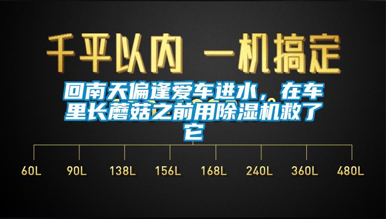 回南天偏逢愛車進(jìn)水，在車?yán)镩L蘑菇之前用除濕機(jī)救了它