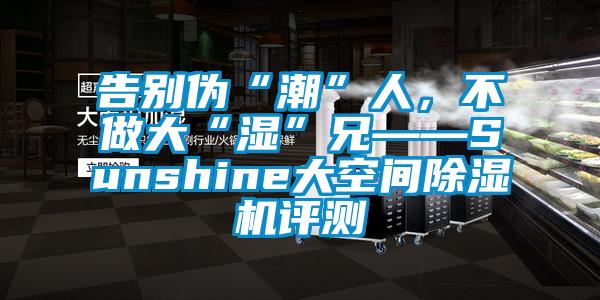 告別偽“潮”人，不做大“濕”兄——Sunshine大空間除濕機評測