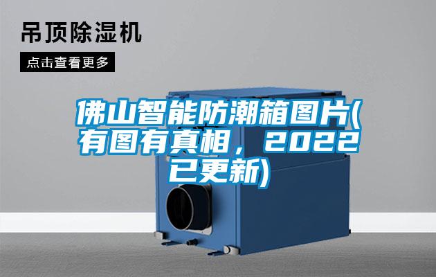 佛山智能防潮箱圖片(有圖有真相，2022已更新)