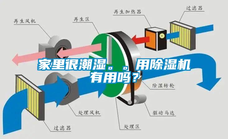 家里很潮濕。。用除濕機(jī)有用嗎？