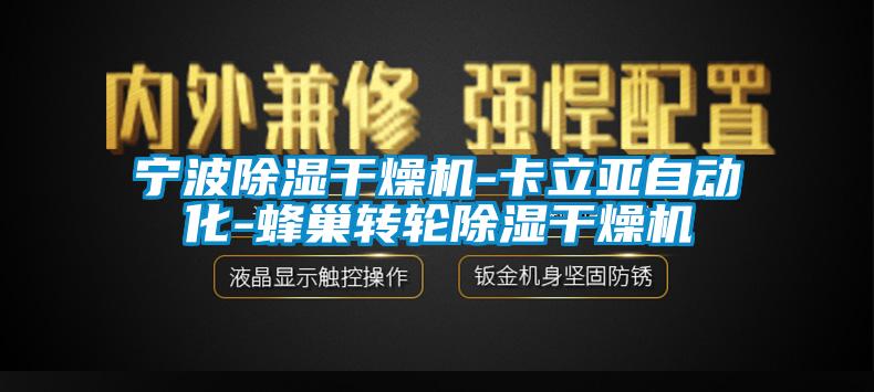 寧波除濕干燥機-卡立亞自動化-蜂巢轉(zhuǎn)輪除濕干燥機