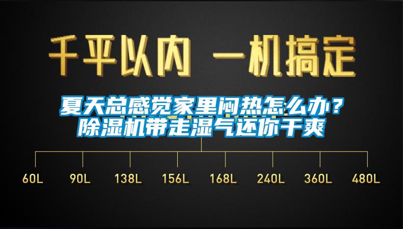 夏天總感覺家里悶熱怎么辦？除濕機帶走濕氣還你干爽