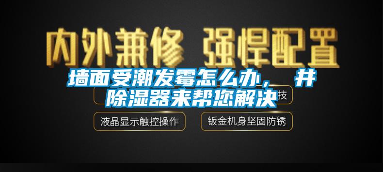 墻面受潮發(fā)霉怎么辦，東井除濕器來幫您解決