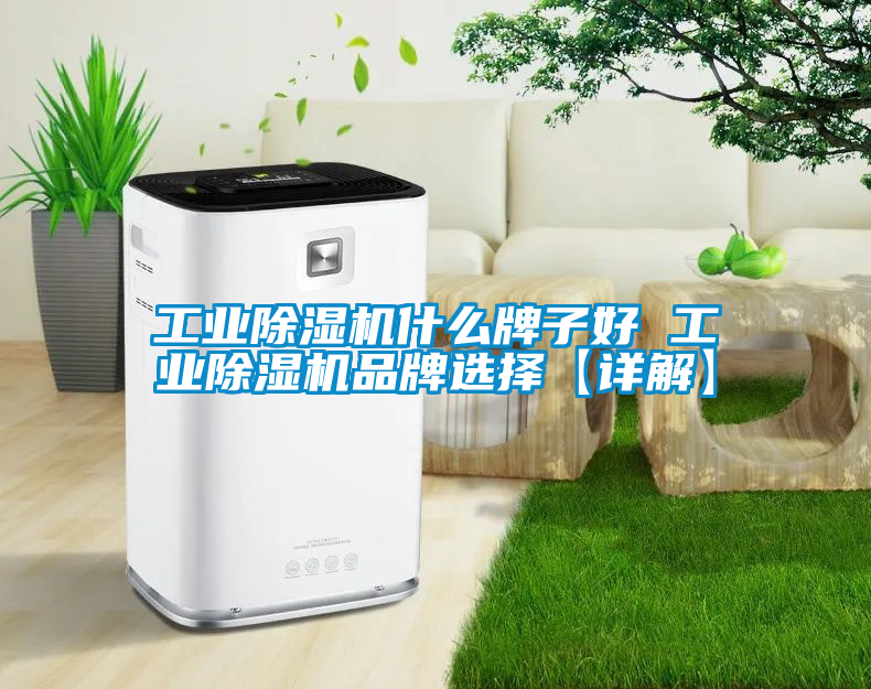 工業(yè)除濕機(jī)什么牌子好 工業(yè)除濕機(jī)品牌選擇【詳解】