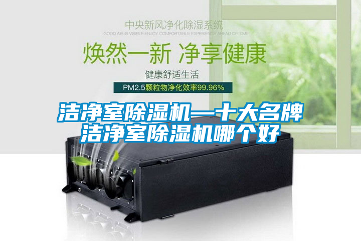 潔凈室除濕機—十大名牌潔凈室除濕機哪個好