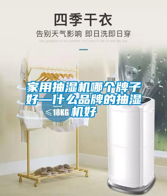 家用抽濕機哪個牌子好—什么品牌的抽濕機好