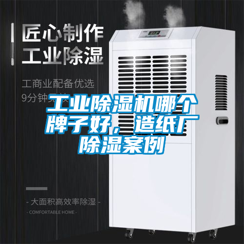 工業(yè)除濕機(jī)哪個牌子好，造紙廠除濕案例