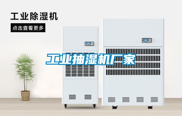 工業(yè)抽濕機廠家