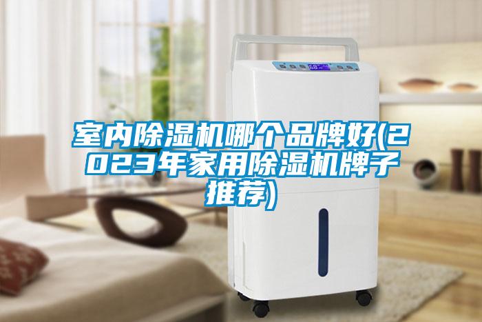 室內(nèi)除濕機哪個品牌好(2023年家用除濕機牌子推薦)