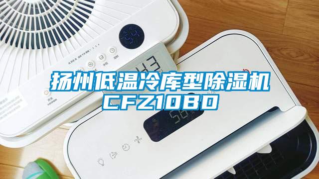 揚州低溫冷庫型除濕機CFZ10BD