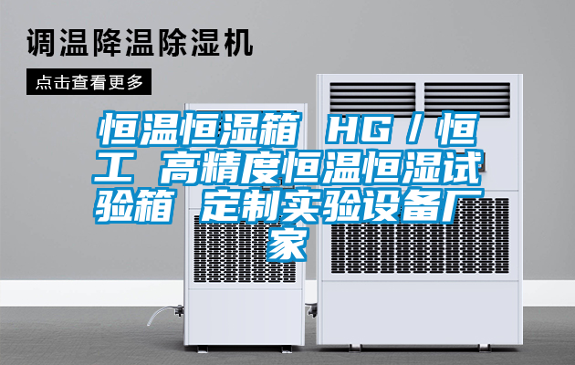 恒溫恒濕箱 HG／恒工 高精度恒溫恒濕試驗箱 定制實驗設(shè)備廠家