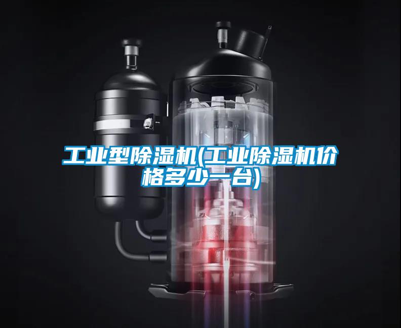 工業(yè)型除濕機(jī)(工業(yè)除濕機(jī)價格多少一臺)