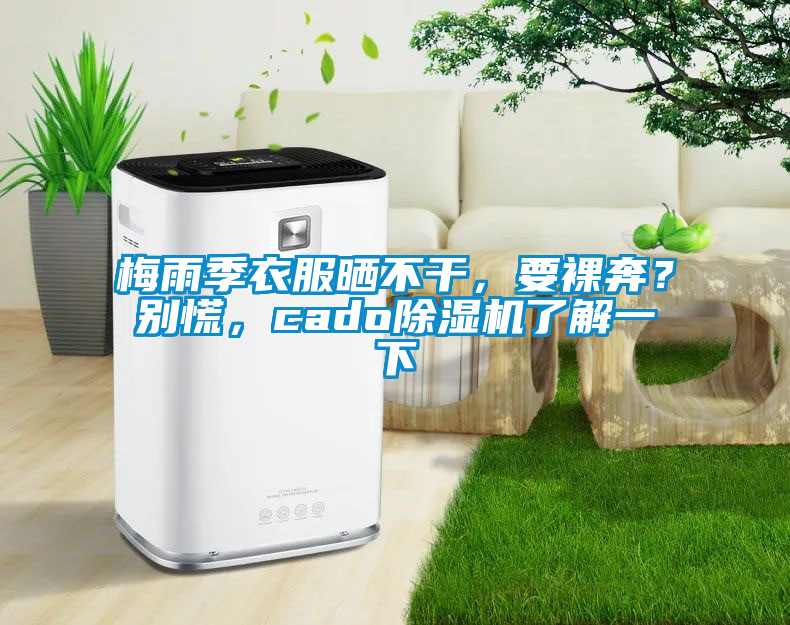 梅雨季衣服曬不干，要裸奔？別慌，cado除濕機(jī)了解一下