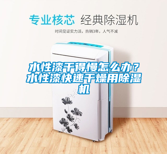 水性漆干得慢怎么辦？水性漆快速干燥用除濕機(jī)