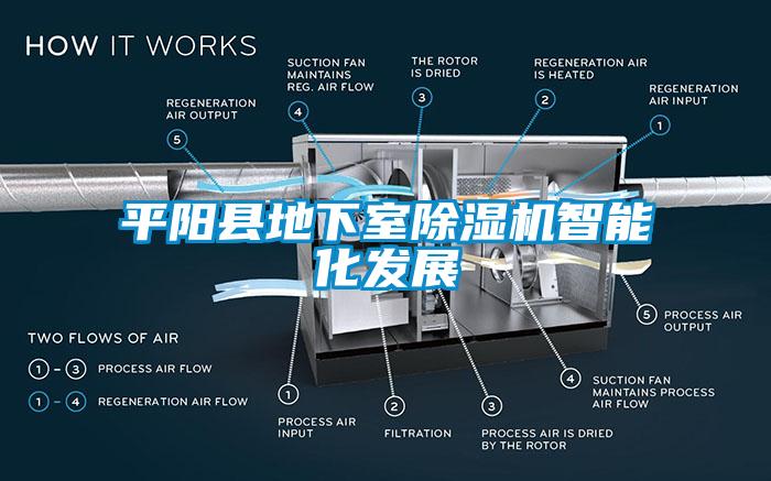 平陽縣地下室除濕機智能化發(fā)展