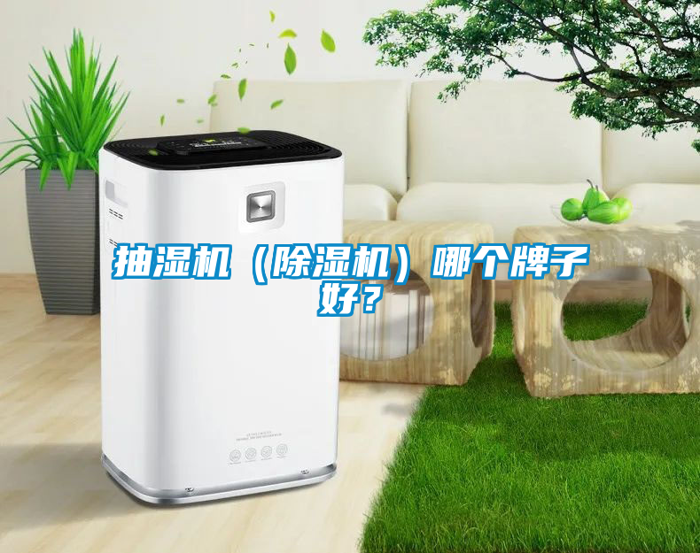 抽濕機（除濕機）哪個牌子好？