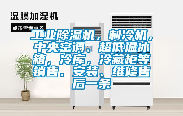 工業(yè)除濕機，制冷機，中央空調、超低溫冰箱，冷庫，冷藏柜等銷售、安裝、維修售后一條