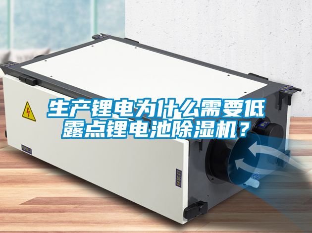 生產(chǎn)鋰電為什么需要低露點鋰電池除濕機？