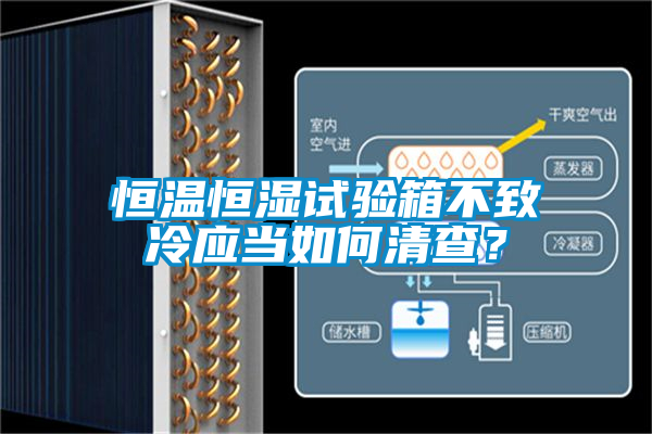 恒溫恒濕試驗(yàn)箱不致冷應(yīng)當(dāng)如何清查？