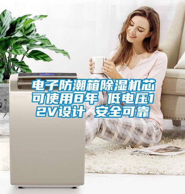 電子防潮箱除濕機(jī)芯可使用8年 低電壓12V設(shè)計 安全可靠