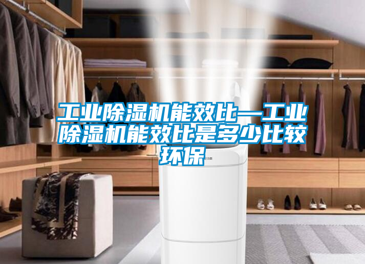 工業(yè)除濕機能效比—工業(yè)除濕機能效比是多少比較環(huán)保