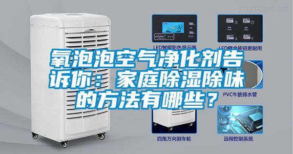 氧泡泡空氣凈化劑告訴你：家庭除濕除味的方法有哪些？