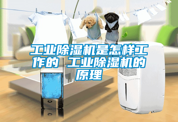 工業(yè)除濕機是怎樣工作的 工業(yè)除濕機的原理