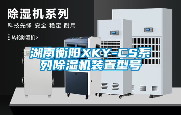 湖南衡陽XKY-CS系列除濕機裝置型號