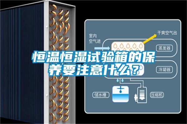 恒溫恒濕試驗(yàn)箱的保養(yǎng)要注意什么？