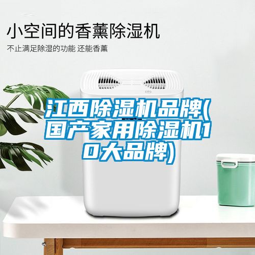 江西除濕機(jī)品牌(國(guó)產(chǎn)家用除濕機(jī)10大品牌)