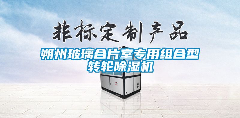 朔州玻璃合片室專用組合型轉(zhuǎn)輪除濕機(jī)